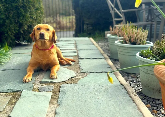 3 Bed In Ambleside Oc-62587 Near Sawrey